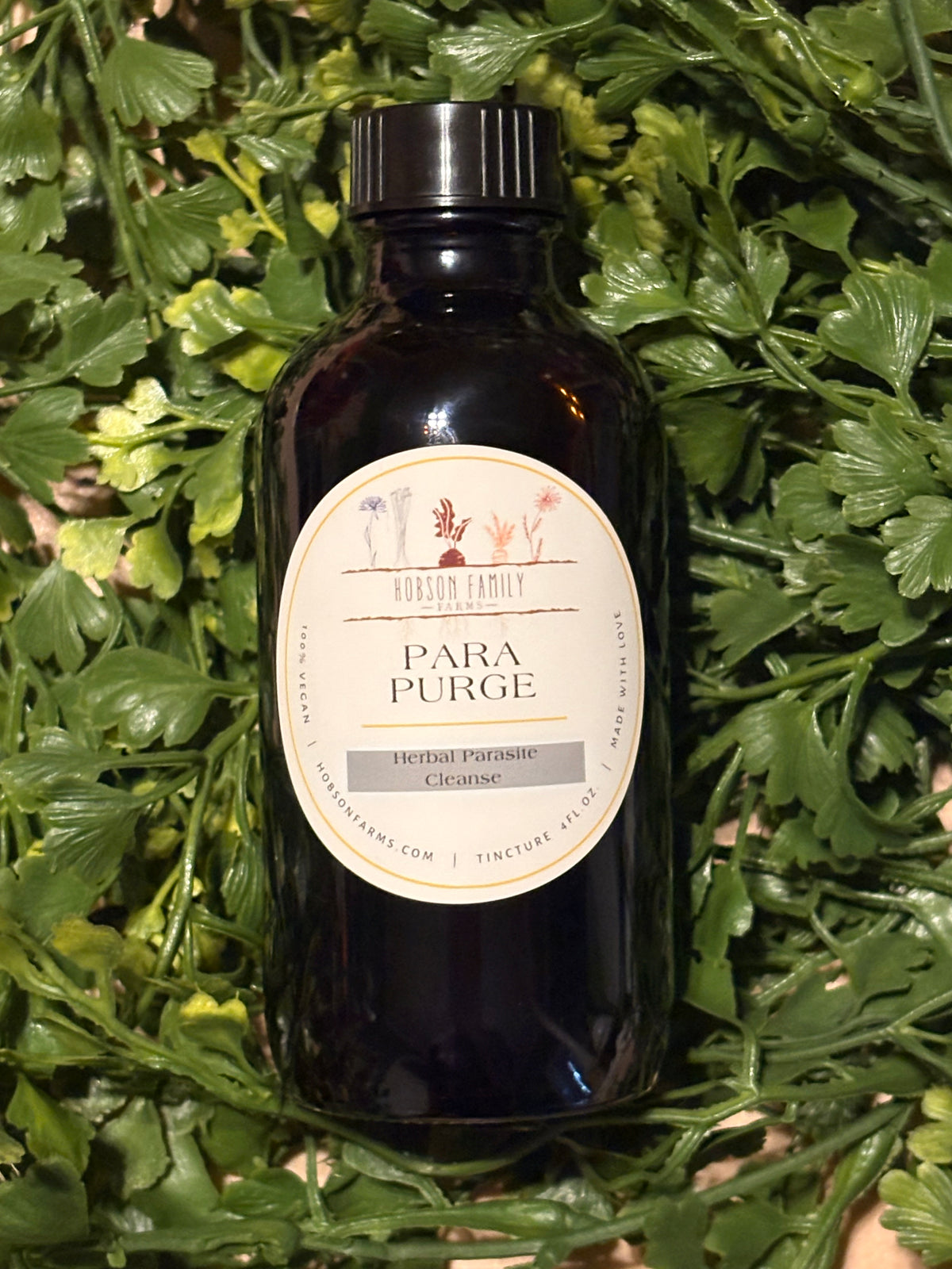 Para Cleanse